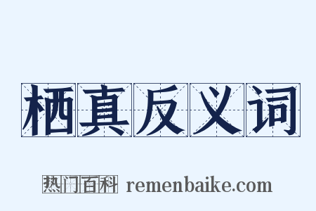 栖真反义词是什么意思的图片